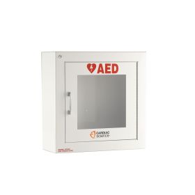 Wall Cabinet: Surface Mount with Alarm, Security 