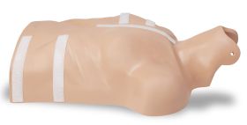 CPR-D DEMO MANIKIN-WITHOUT HEAD